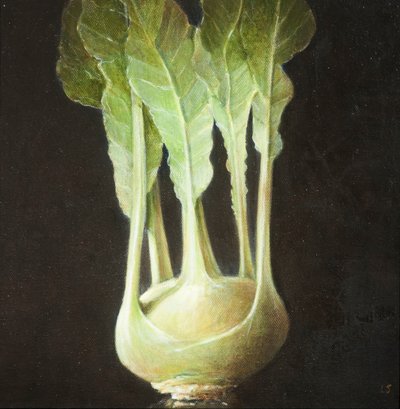 Kohl Rabi, 2012 - Lincoln Seligman